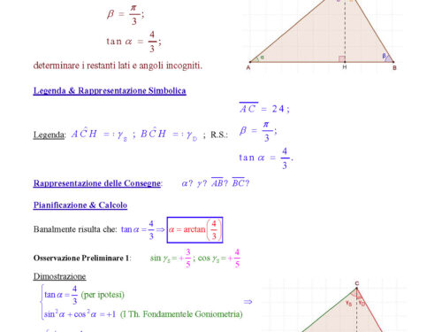 Trigonometria / Th. Fondamentali Triangoli Rettangoli (Ex. Q119.072)  – Articolo Doppio –